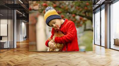 Cute preschool child, blond boy, holding hen chicken in a garden Wall mural