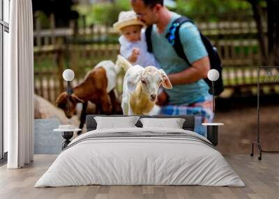 Preschool boy, petting little goat in the kids farm. Cute kind child feeding animals Wall mural