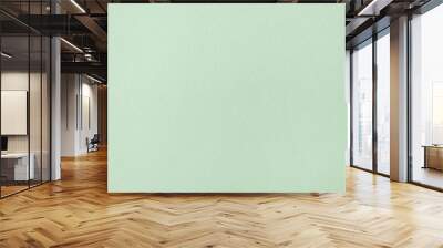 Green pastel color paper texture background or cardboard surface from a paper box for packing. and for the designs decoration and pattern abstract  concept Wall mural