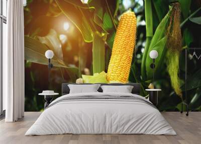 The corn or Maize is bright green in the corn field. Waiting for harvest Wall mural