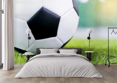 Football ball on green grass field background. Wall mural