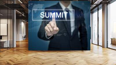 Businessman hand touching SUMMIT button on virtual screen Wall mural