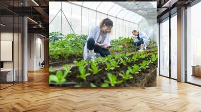 Scientis are analyzing organic vegetables plants in greenhouse , concept of agricultural technology Wall mural