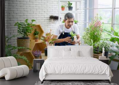 Senior man entrepreneur working with laptop presents houseplants during online live stream at home, selling online concept Wall mural