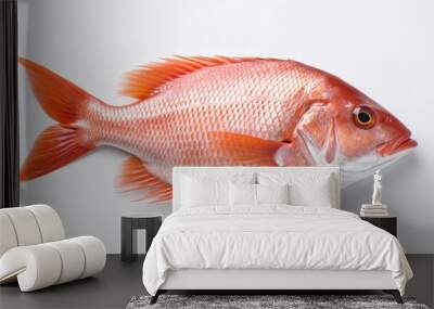 A snapper fish. Top view of Raw fish white snapper on white background. Generative Ai Wall mural