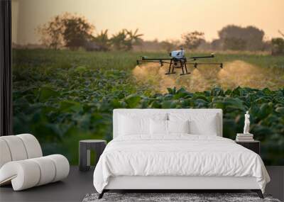 Agricultural drones are on the way to spray fertilizer in tobacco fields. Wall mural