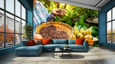 Hands holding Cocoa Beans, Aromatic cocoa beans as background, Cocoa Beans and Cocoa Fruits on wooden. Wall mural