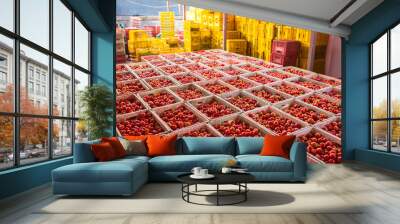 Natural raw material red tomatoes, freshly picked For the red tomatoes Sauce factory. Wall mural