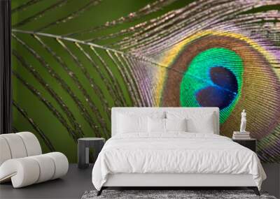 .Beautiful peacock feathers Wall mural