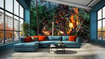 fire in the forest Wall mural