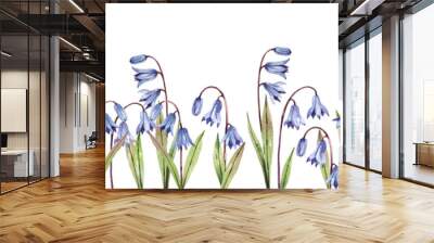  Floral seamless horizontal border with hand drawn watercolor bluebells snowdrops isolated on white background. Delicate flowers background. Wall mural