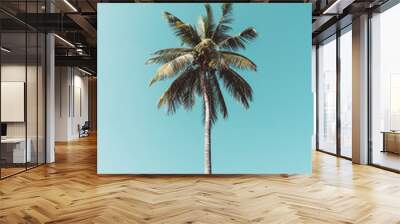 Copy space of tropical palm tree with sun light on sky background. Wall mural