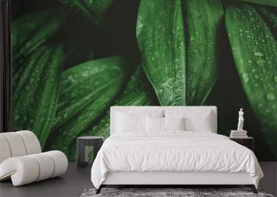 Tropical nature green leaf texture abstract background. Wall mural