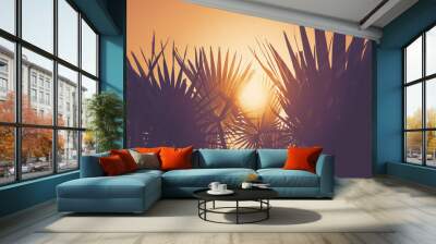 Tropical palm tree with sun light on sunset sky and cloud abstract background. Wall mural