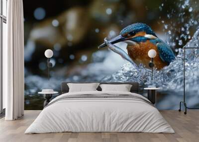 A vibrant blue and orange kingfisher emerges from a river with a fish in its beak, water splashing around it. Wall mural