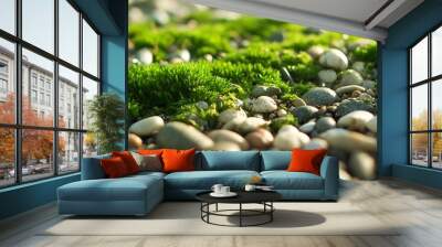 Close-up of green moss growing among smooth river stones. Wall mural