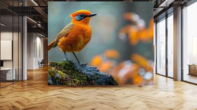 A vibrant and sharp photo of a Goldeeg bird standing on a moss-covered rock in a lush forest.  Wall mural