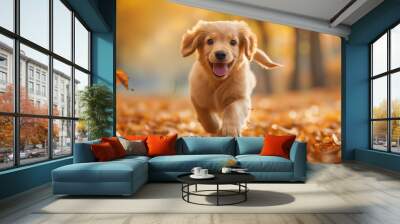 Happy dog running in the autumn nature Wall mural