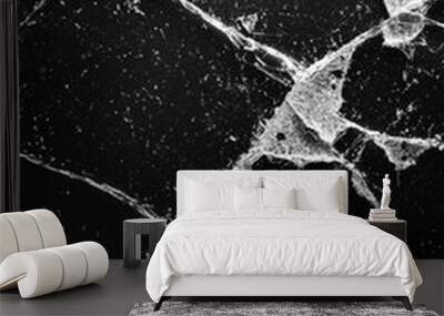 High-resolution close-up of cracked surface with intricate web-like patterns, ideal for backgrounds and abstract art. Perfect for modern designs. Wall mural