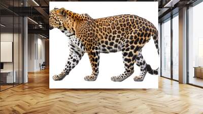 Isolated leopard illustration on transparent background in PNG format created using AI technology. Wall mural