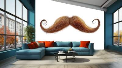 Beard and swirl mustache . on white Wall mural