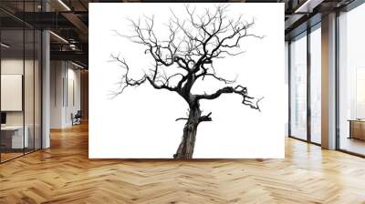 creepy gnarled trees isolated Wall mural