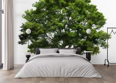 Green tree isolated. Wall mural