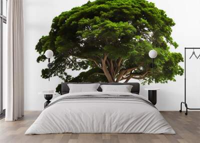 Green tree isolated Wall mural