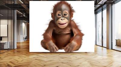 orangutan isolated Wall mural