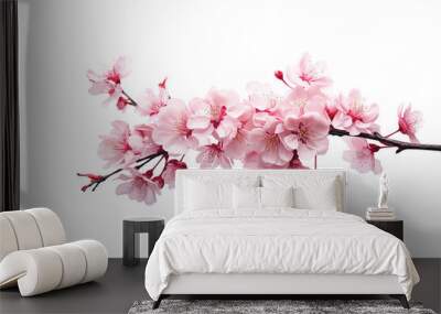 pink cherry blossom flower on white Wall mural