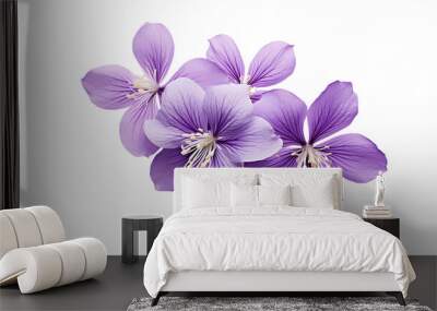 violet flower with leaves png Wall mural