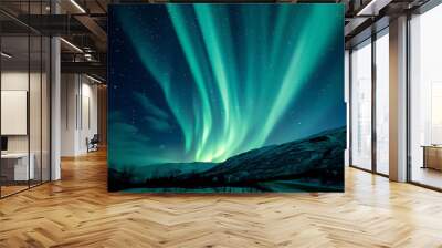 Aurora borealis commonly known as the Northern Lights which is a natural light display in the Earths magnetic atmosphere, stock illustration image Wall mural