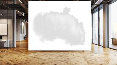 Light smoke isolated on a white background for making brushes in Photoshop monochrome image Wall mural