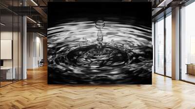 Water drop ripple splash droplet monochrome black and white image Wall mural