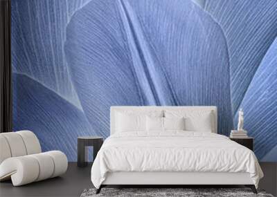 Blue Tulip Petal Close-up Wall mural