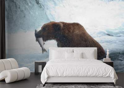 Alaskan brown bear with salmon Wall mural