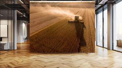 Farmer harvesting soybeans in Midwest Wall mural