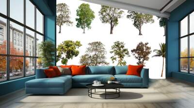 Set of trees on white background.Clipping Path Wall mural