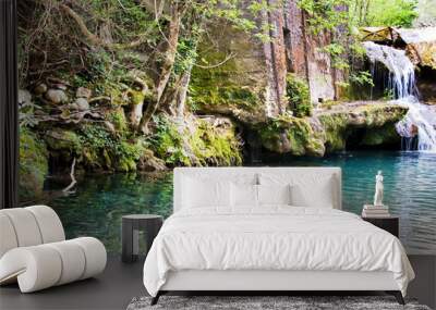 Small waterfalls created from the spring of the Bussento river, Casaletto Spartano, Salerno Italy. Wall mural