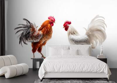 Native chicken on white background, two chickens, For art texture, presentation design or web design and web background. Generative ai Wall mural