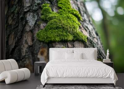 an old tree in a forest covered with moss Wall mural