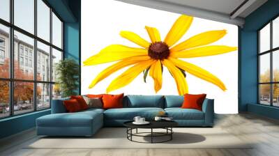 blooming yellow flower on white background Wall mural