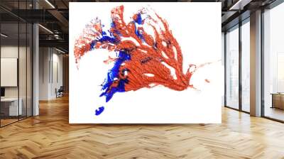 stain of blue and red oil paint. smear on white background Wall mural