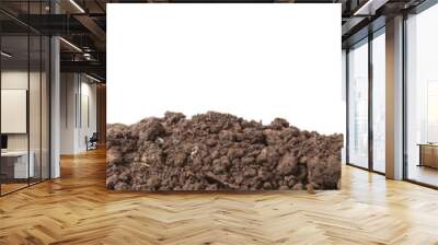 the soil for planting isolated on white background Wall mural