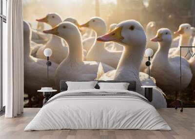 Flock of ducks standing on the farm bokeh style background Wall mural