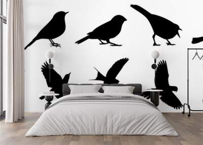 Black bird silhouette collection. Set of black bird silhouette isolated Wall mural