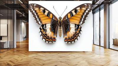 A butterfly with orange and brown wings is sitting on a white background Wall mural