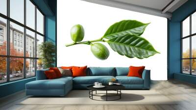 A green leaf with two green nuts on it Wall mural