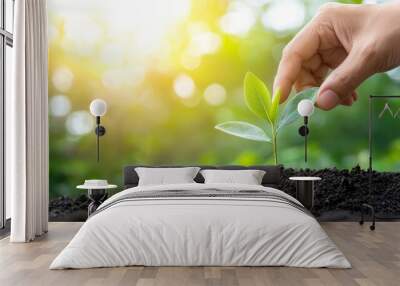 A hand is planting a small green plant in the dirt Wall mural