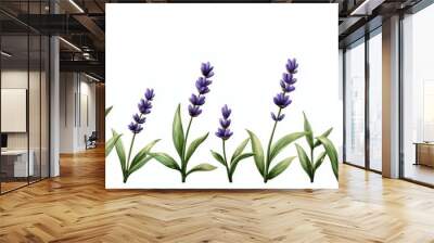 A row of purple flowers with green stems Wall mural